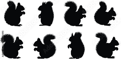 Black Squirrel Silhouettes Collection