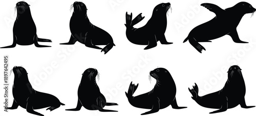 Sea Lion and Seal Silhouettes Collection