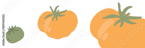 Mixed vegetables seamless pattern with tomatoes, carrots, cucumbers and bell peppers