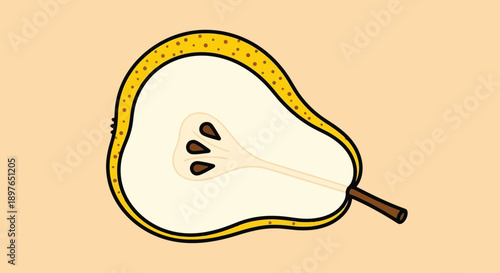 Half Pear Illustration with Seeds and Stem.