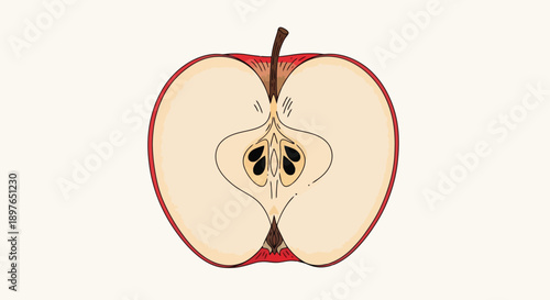 Cross section of a red apple revealing its core and seeds.