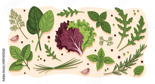 Fresh Culinary Herbs and Leafy Greens Assortment.
