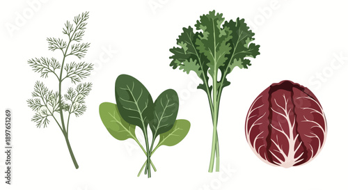 Fresh and vibrant assortment of leafy green vegetables and herbs.