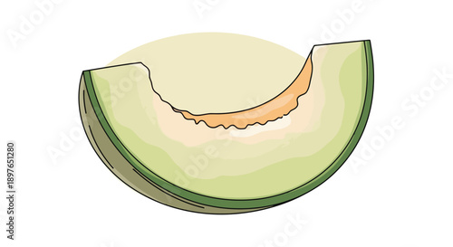 Fresh Cantaloupe Slice with Seeds Isolated on White Background.