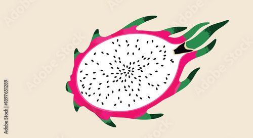 Vibrant cross section of a fresh exotic dragon fruit illustration.