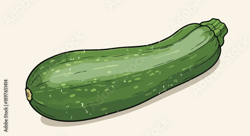 Fresh Green Zucchini Vegetable Isolated on a Plain Background.