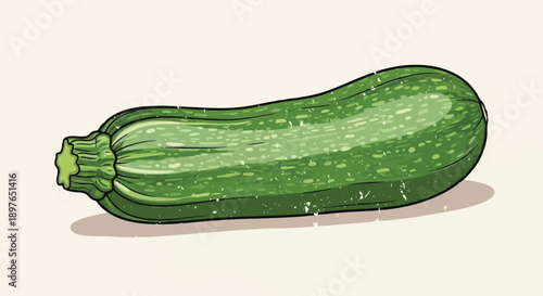 Fresh Green Zucchini Vegetable Isolated on a Light Background.