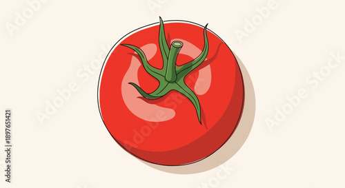 Vibrant Red Tomato with Green Stem and Shadow.