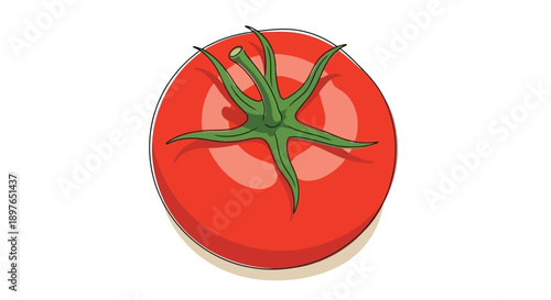Vibrant Red Tomato with Green Stem from an Overhead View.