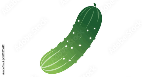 Fresh Green Cucumber Isolated on White Background.