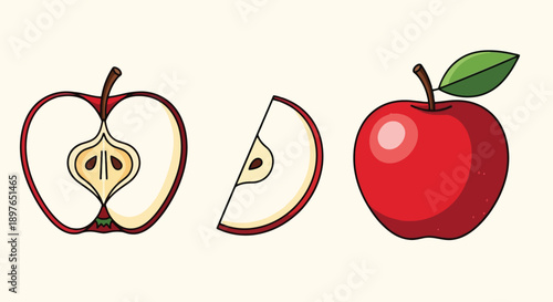 Vibrant Red Apple Illustrations Whole Half and Quarter Slices.