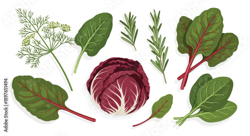 Freshly picked assortment of vibrant green and red leafy vegetables and herbs.