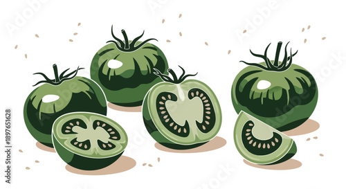 Fresh Green Tomatoes Whole and Sliced Illustration.