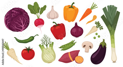 Assortment of fresh organic vegetables for healthy eating and cooking.