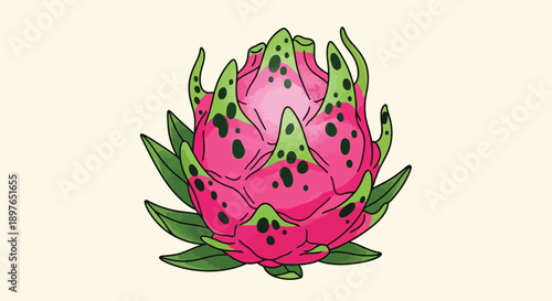 Vibrant Dragon Fruit Illustration with Pink Skin and Green Scales.
