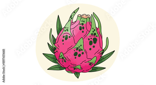 Vibrant Dragon Fruit Illustration with Detailed Scales and Green Leaves.