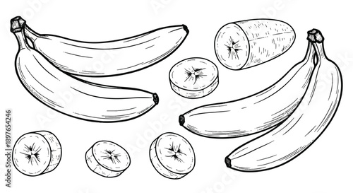 Engraved style banana set with whole fruits and slices for vintage culinary illustrations