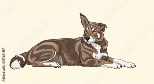 Illustration of a brown and white dog lying down peacefully.