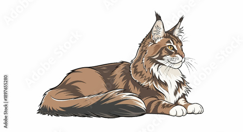 Maine Coon Cat Illustration Portrait Detailed Realistic.