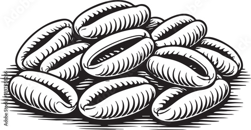 Pasta orecchiette pile studio scene shell shaped pasta arrangement for branding use