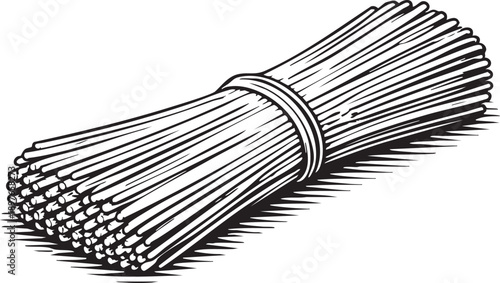 Pasta bucatini tied bundle studio scene hollow spaghetti style pasta for branding use