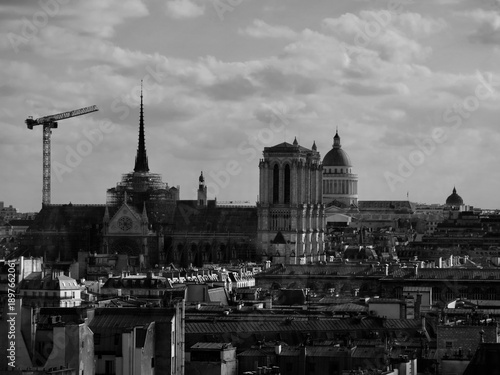 Slika na platnu Cathédrale Notre-Dame de Paris en reconstruction