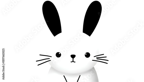 Cute and beautiful animal black and white 