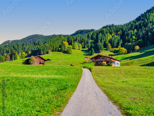 Wallpaper Mural Narrow Asphalt Path Leading to Alpine Chalet and Barn Torontodigital.ca