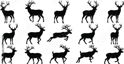Stag deer silhouette set featuring elegant antlered animals in standing, walking, and running poses, perfect for hunting logos, wildlife emblems, and vector art