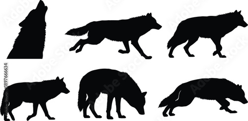 Wild Wolf Silhouette Vector Collection Set in Various Poses, Including Howling, Walking, and Sniffing, for Nature and Wilderness Designs