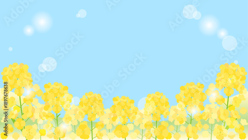 青空と日差しと菜の花畑を組み合わせた背景のイラスト　16：9バージョン
