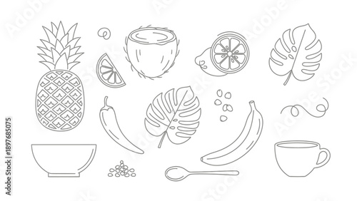 Vector illustration of tropical fruits and food items in a line art style.