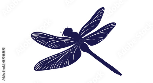 Dark Blue Dragonfly Silhouette with White Veins.