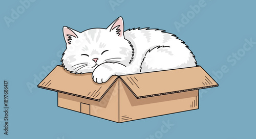 White Cat Sleeping in Cardboard Box.