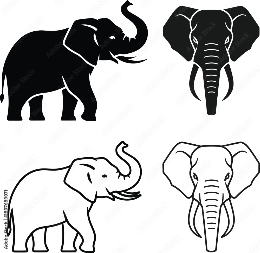 Fototapeta premium Elephant vector icon set: black silhouette, outline, and front view head with tusks, isolated on white