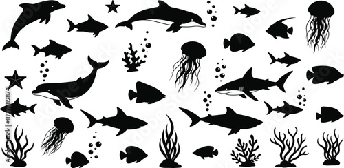 Silhouettes of various marine animals and plants arranged in a visually appealing underwater scene from a top-down viewpoint.