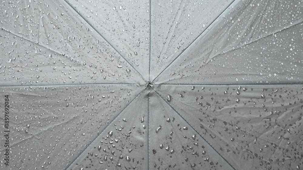 Obraz premium Close-up of a black umbrella covered in raindrops - Close-up de um guarda-chuva perto coberto por gotas de chuva