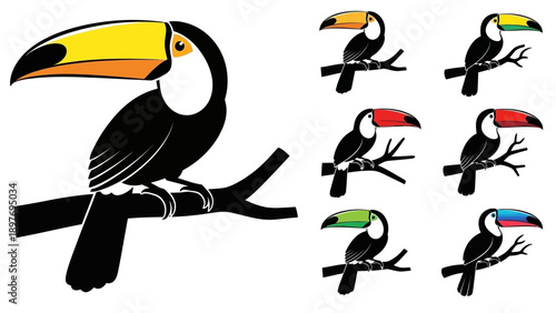Colorful Toucan Collection: Tropical Bird Illustrations on Branches
