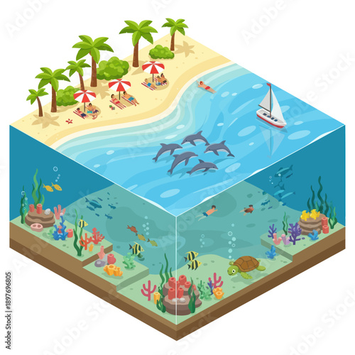 Underwater Scene with Marine Life and Beach.