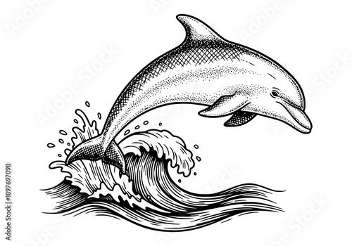 Dolphin jumping out of ocean wave in dynamic motion