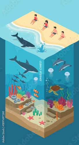 Underwater Scene with Marine Life and Divers.