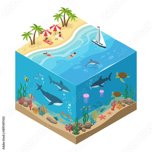 Isometric Ocean Scene with Marine Life.