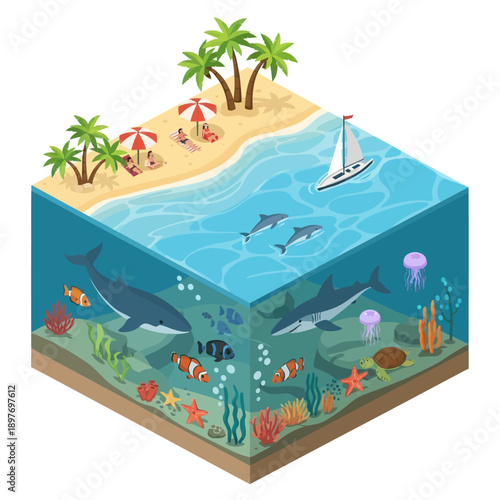 Underwater Scene with Marine Life and Beach.