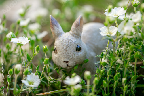 Εκτύπωση καμβά Spring Easter wallpaper