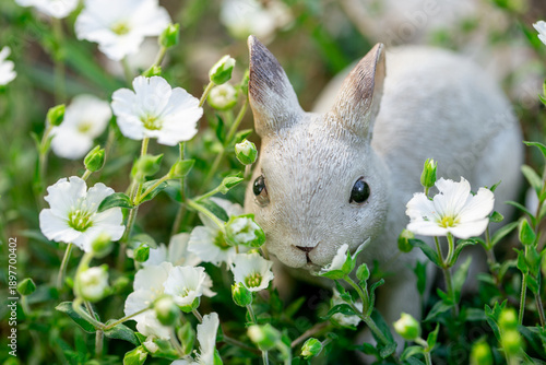 Photography Easter bunny in white flowers