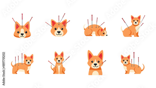 Cute Dog Acupressure and Acupuncture Treatment Set