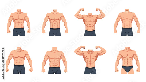 Muscular Male Torso Poses Vector Illustration