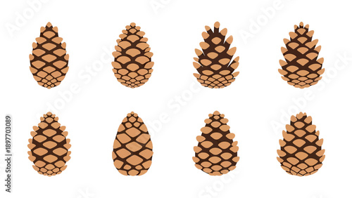 Collection of Pine Cones Vector Illustration, Natural Elements