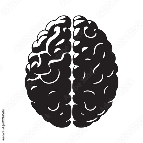 human brain isolated on white background