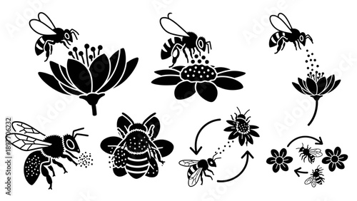 Bee Pollination Process: Bees Collecting Nectar and Pollen from Flowers